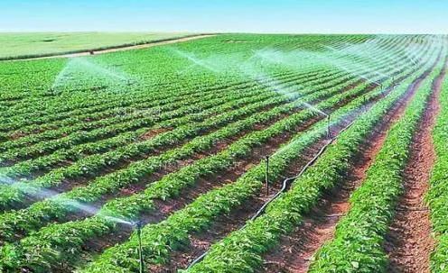 裸体视频嫩逼农田高 效节水灌溉